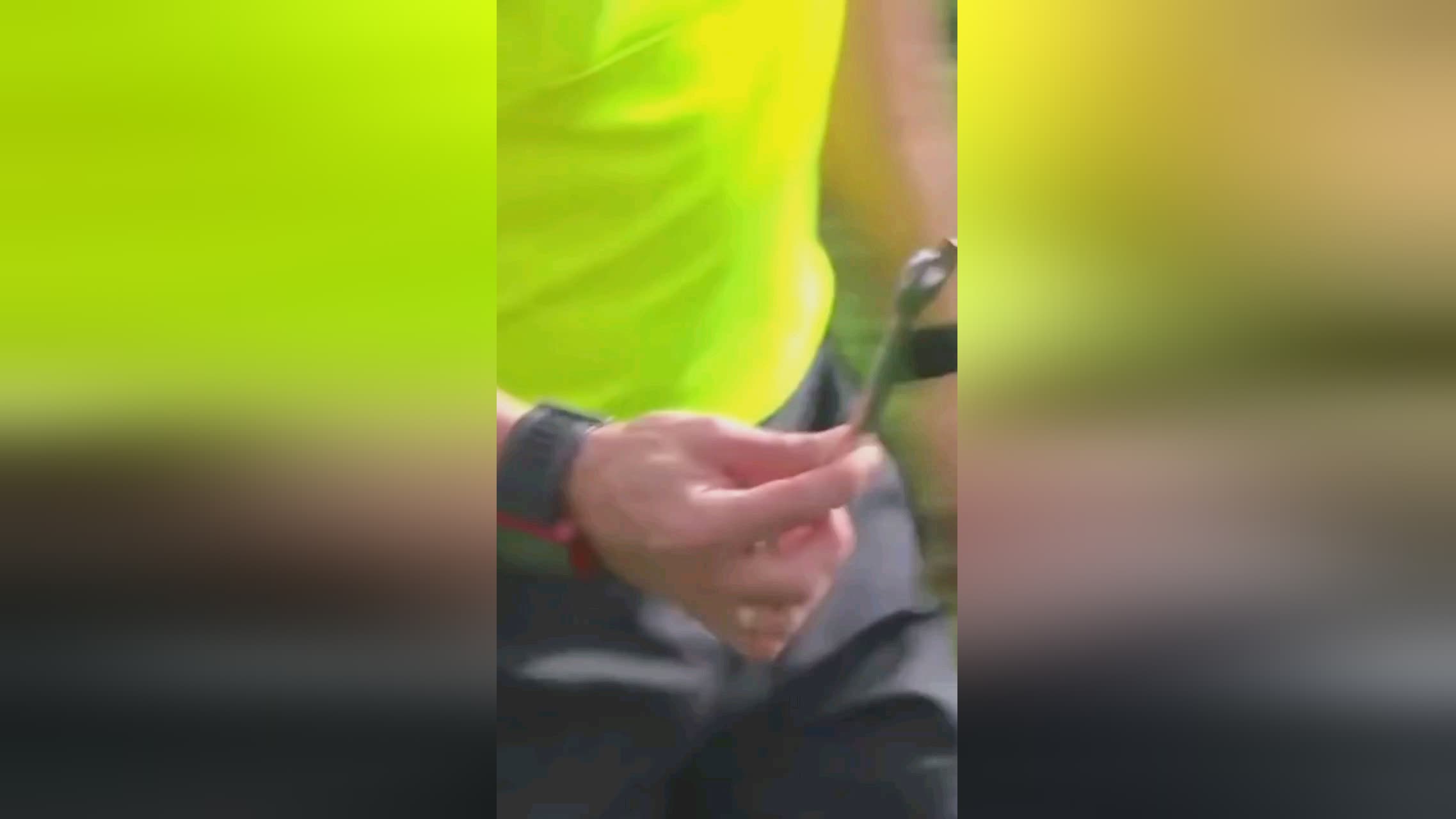成功案例